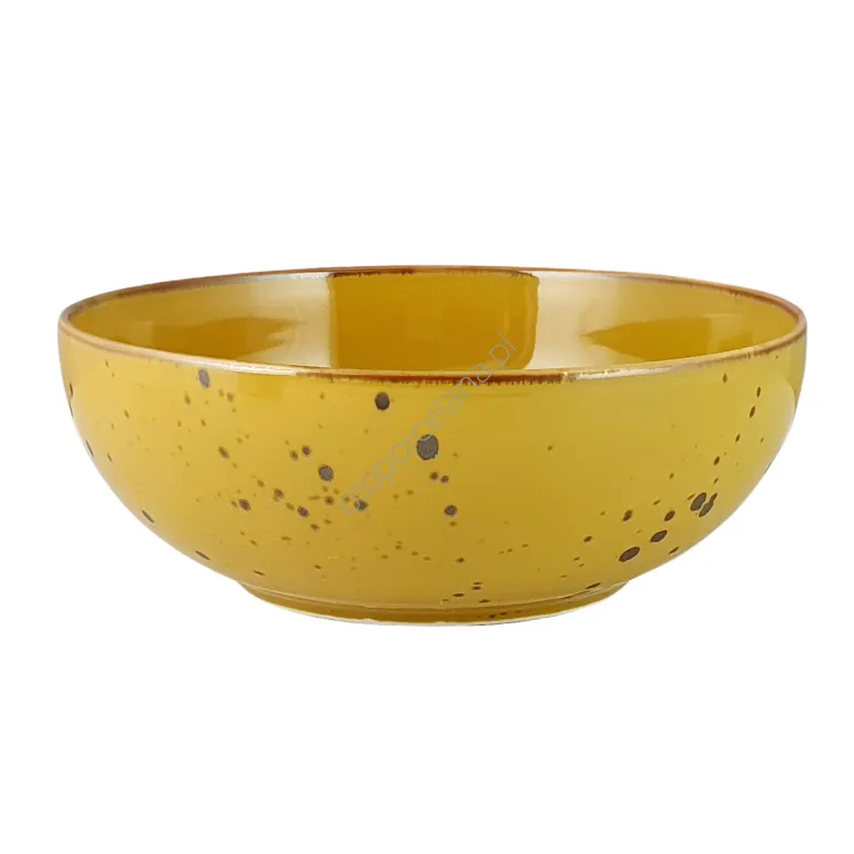 COTTAGE YELLOW SALATERKA 23 cm AKIJ - Alumina Bogucice